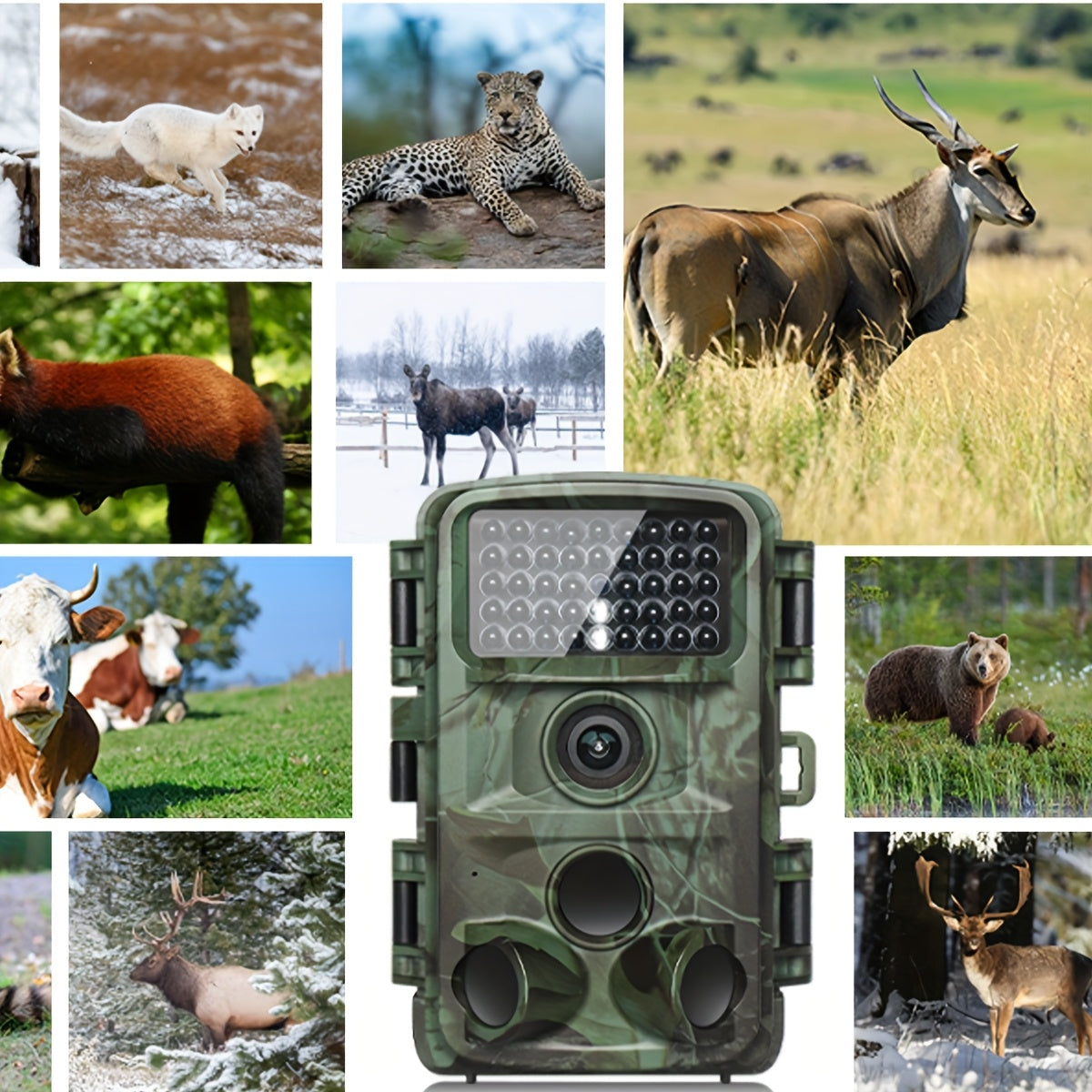 4K 32MP Wildcamera – Bewegingsdetectie & Low-Glow Nachtzicht